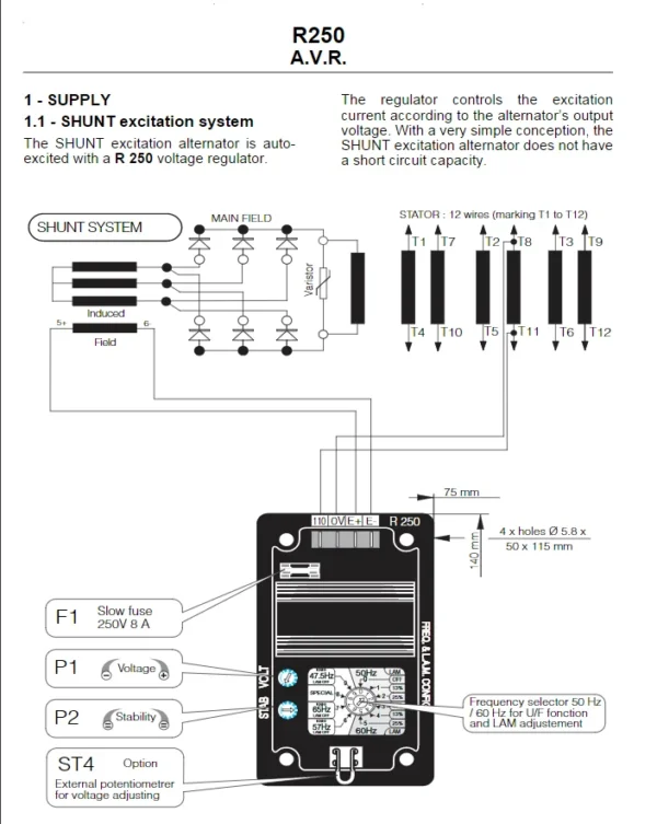 Leroy Somer AVR R250